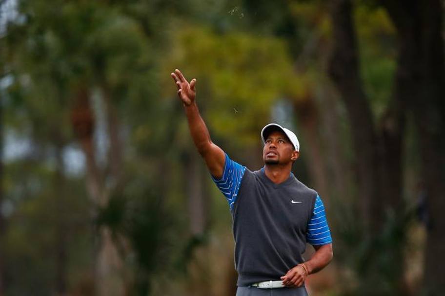 Tiger Woods, 38 anni, studia la direzione del vento REUTERS